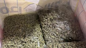 סמים בדירה באזור, צילום: דוברות המשטרה